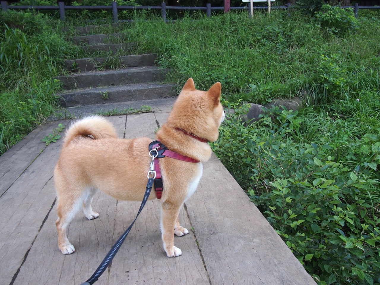 详细阅读:随机未来联盟:电竞融合、虚拟增强带来新营销新玩法,未来联盟巨星 随机未来联盟:电竞融合、虚拟增强带来新营销新玩法,未来联盟巨星