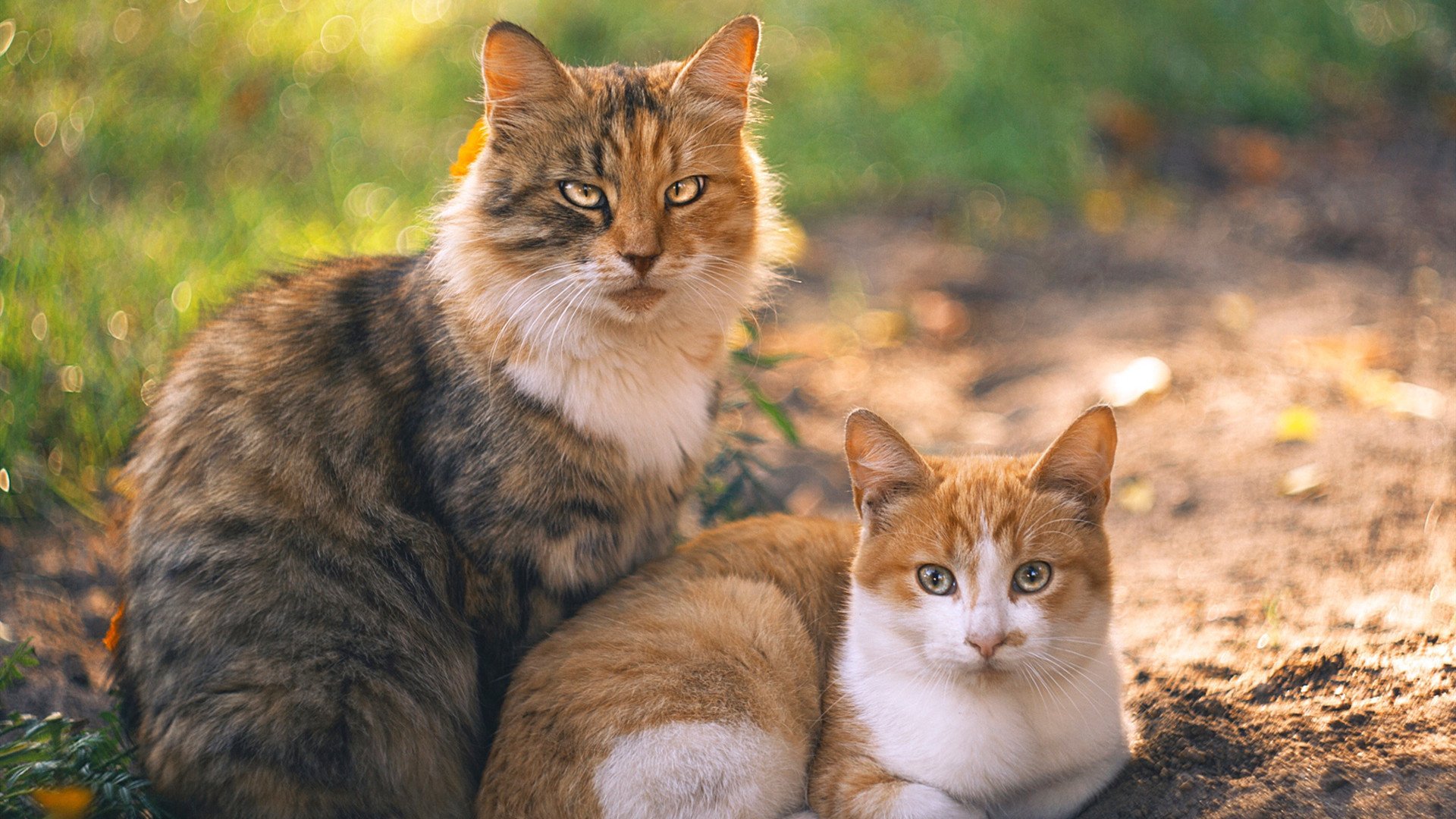 详细阅读:随机盘点欧冠中最漂亮的团队配合,欧冠队伍介绍 随机盘点欧冠中最漂亮的团队配合,欧冠队伍介绍