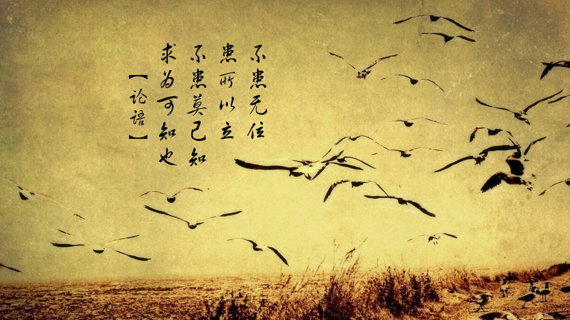 随机挪威对决拉脱维亚：东风压倒西风？，挪威vs拉脱维亚