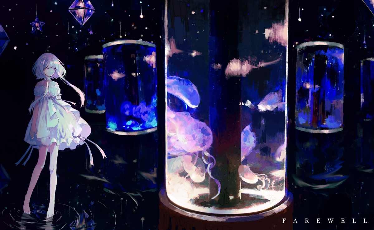 随机深度解析足球新秀表现，深度解析足球新秀表现分析