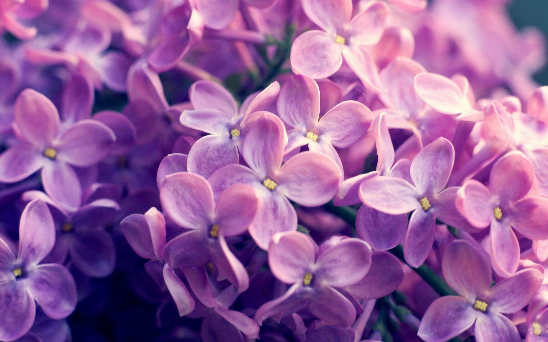 随机胜负难定！国内足球赛场悬念不断，国内足球赛事时间表