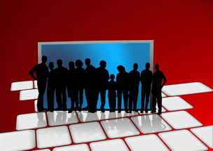 随机NBA联盟全球球迷互动平台建设研究，nba球迷圈注册