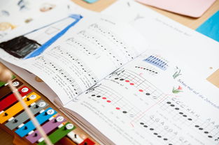 随机中小学体育教师继续教育体系建设与实施研究，小学体育继续教育考试试题及答案