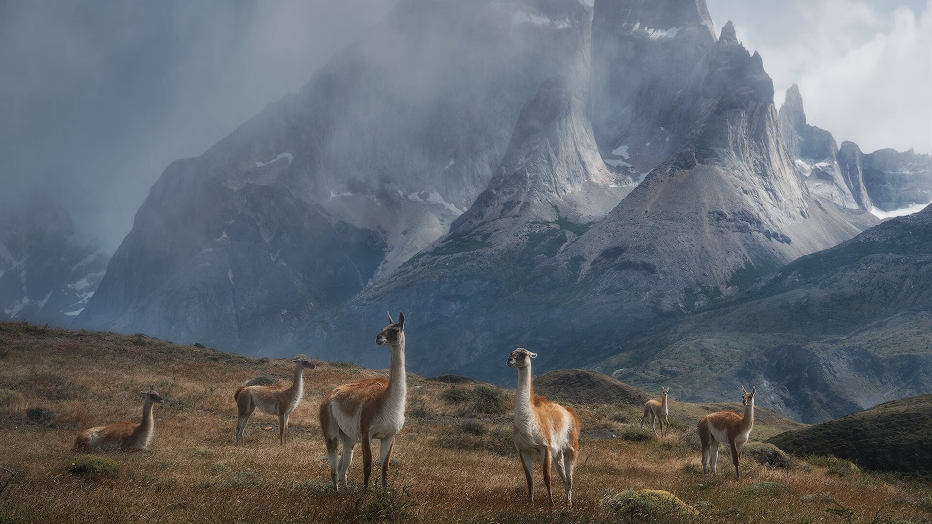 随机体育场馆安全设施升级方案，体育场馆安全设施升级方案及措施