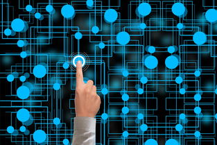 九游app官网下载-冬奥会遗产利用与社会价值实现研究，冬奥会遗产战略计划