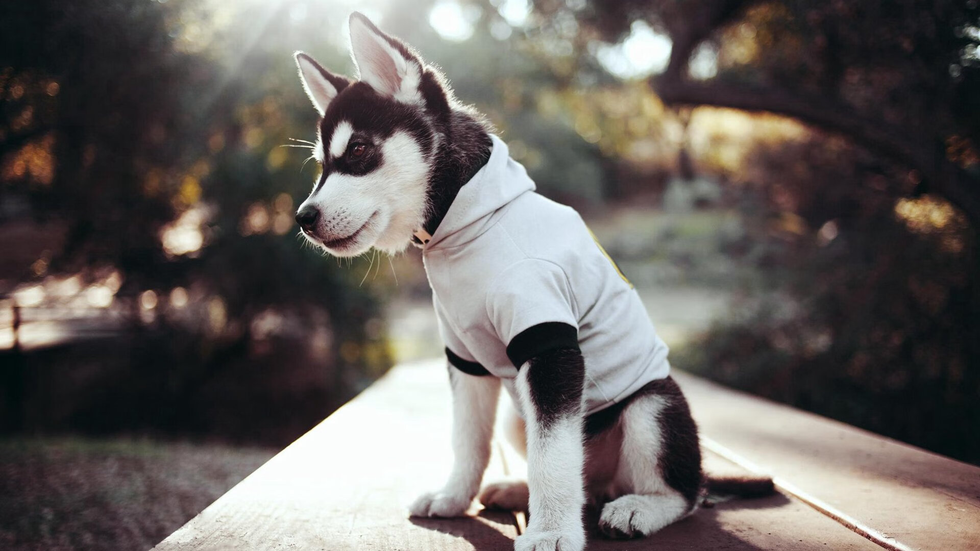 九游娱乐官网 (jiuyou)-国足后续热身赛效果评估，国足热身赛赛