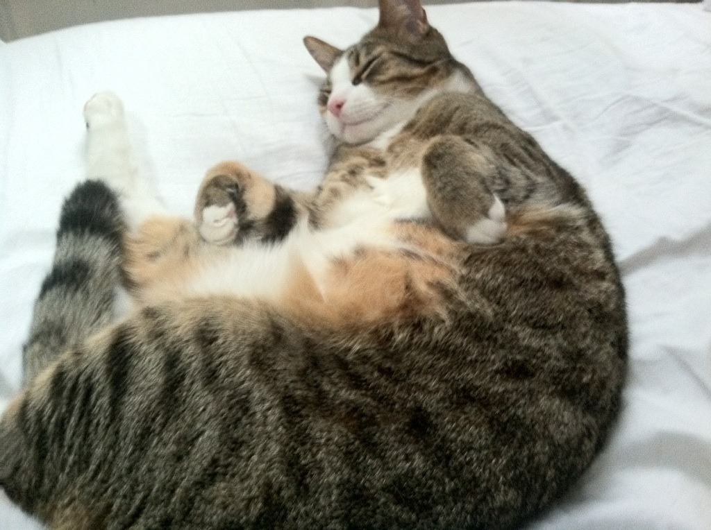 详细阅读:九游登录中心-青少年篮球职业发展通道逐步完善打通校园到职业路径,青少年篮球规划 九游登录中心-青少年篮球职业发展通道逐步完善打通校园到职业路径,青少年篮球规划